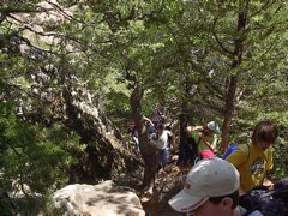 fldtrip022.jpg