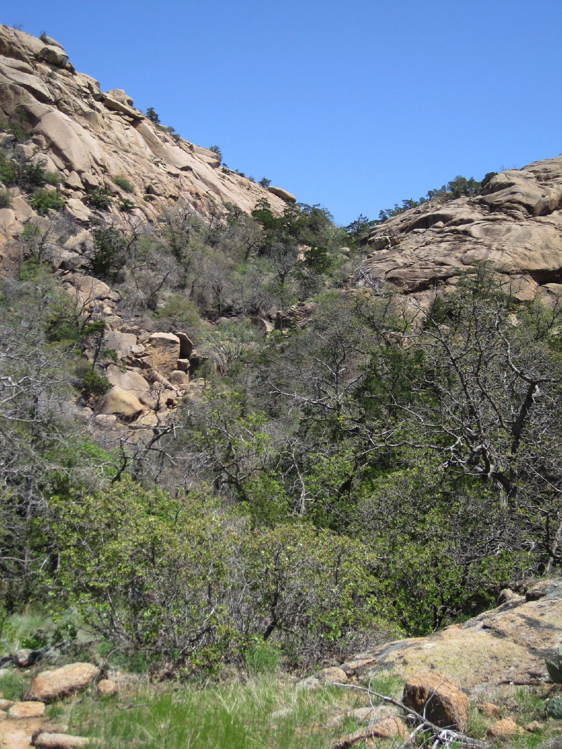 mts.geo33.jpg
