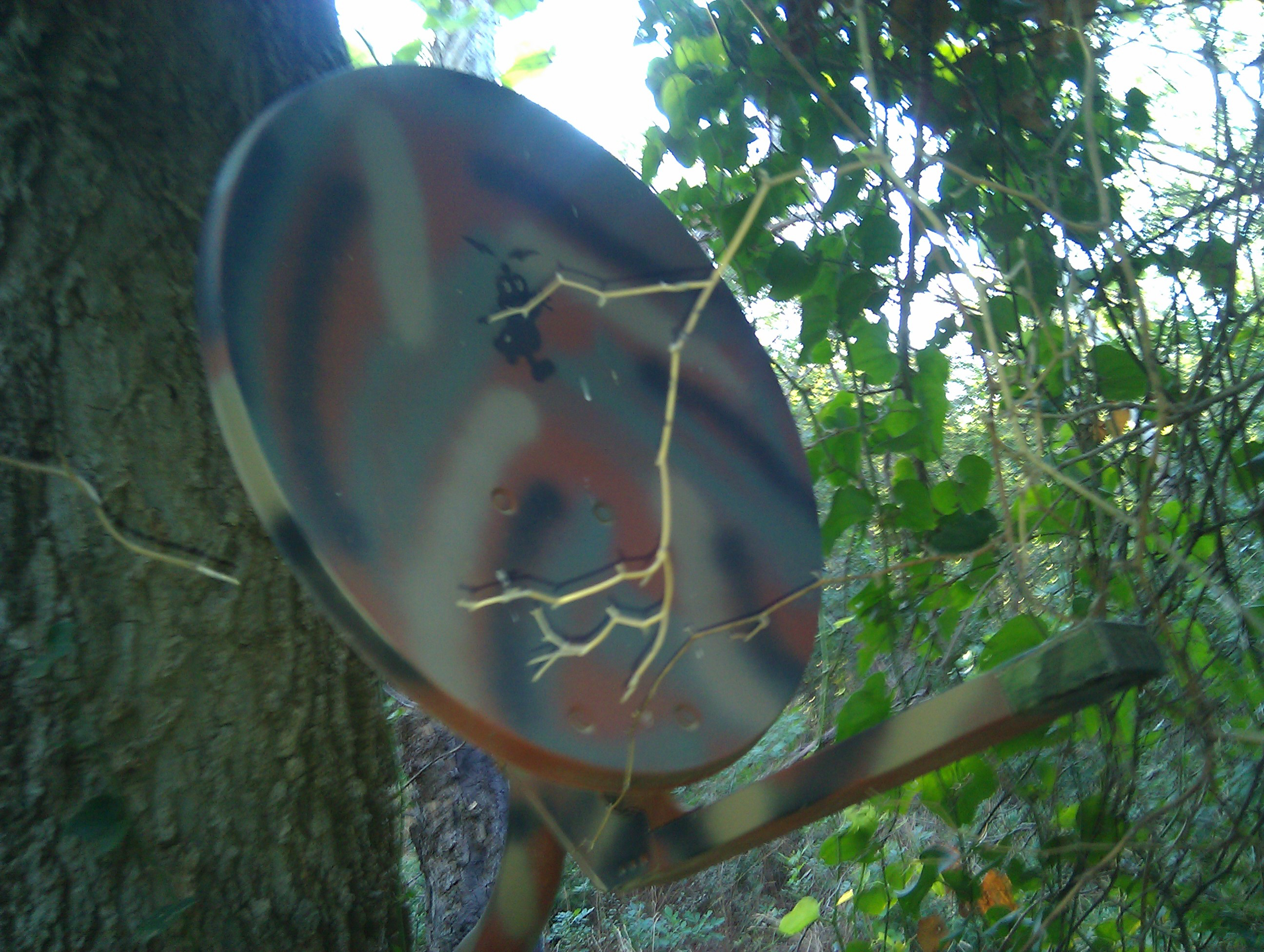 singal radar cache 1.jpg