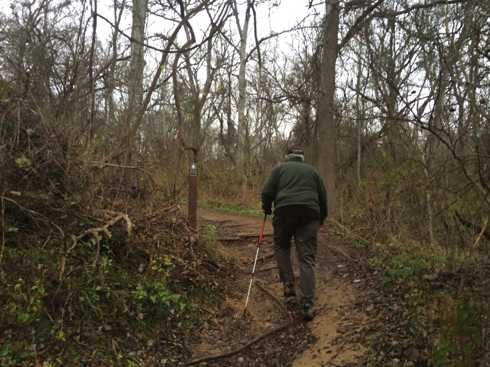 homestead hike.jpg