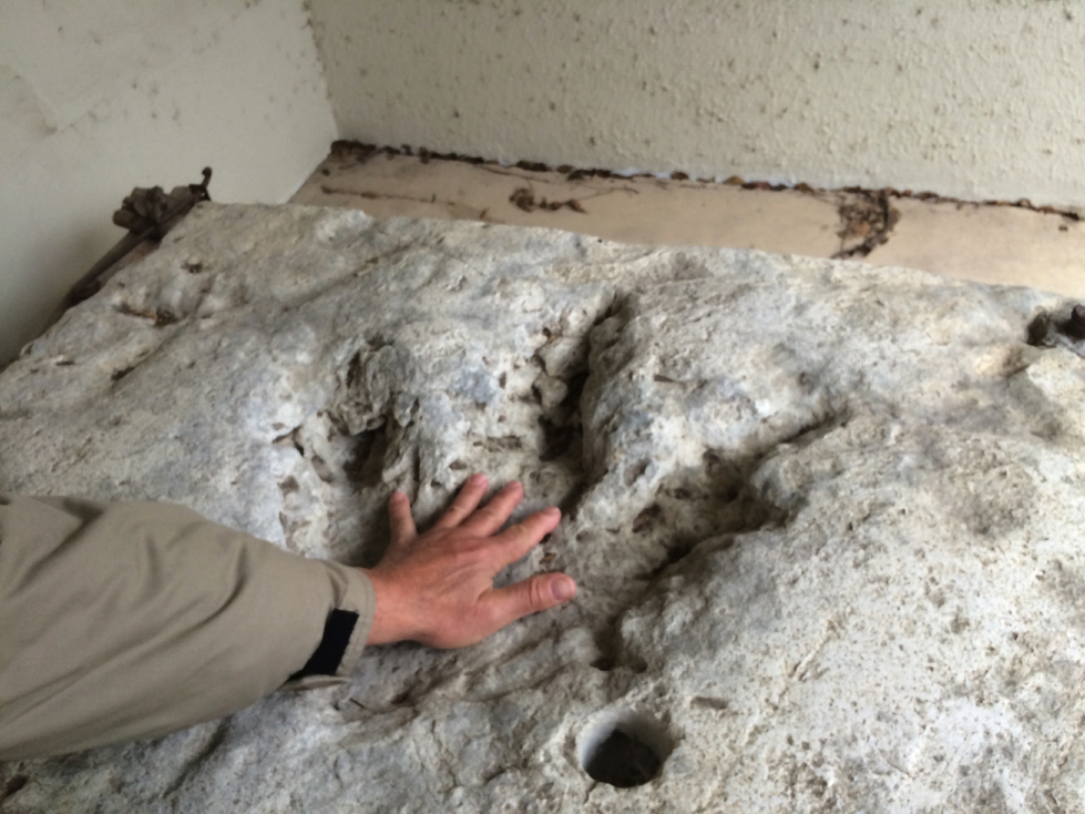 hopewell dinosaur track.jpg