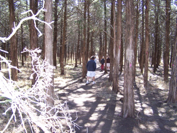 100_0732.jpg