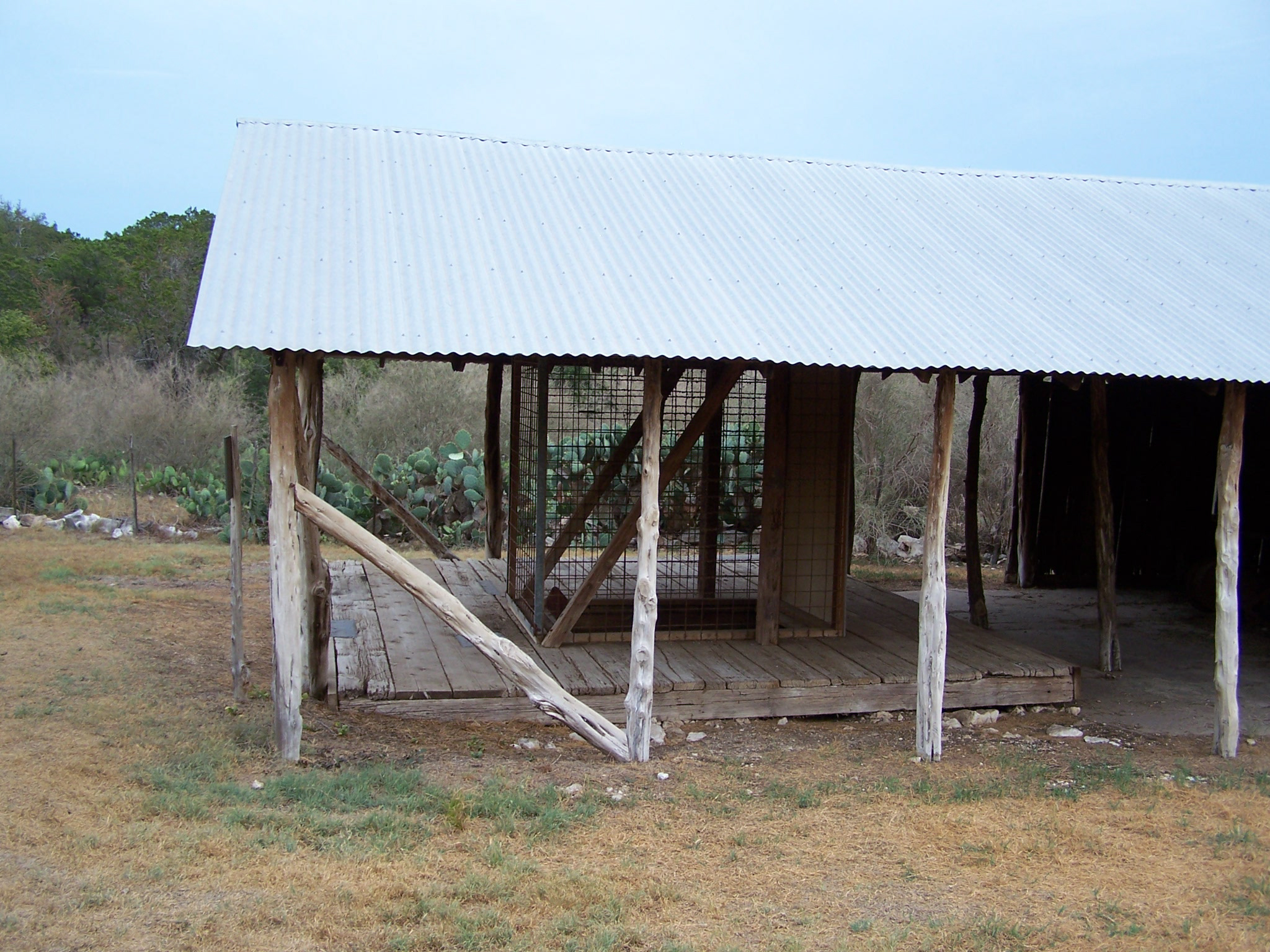 bracken04.jpg