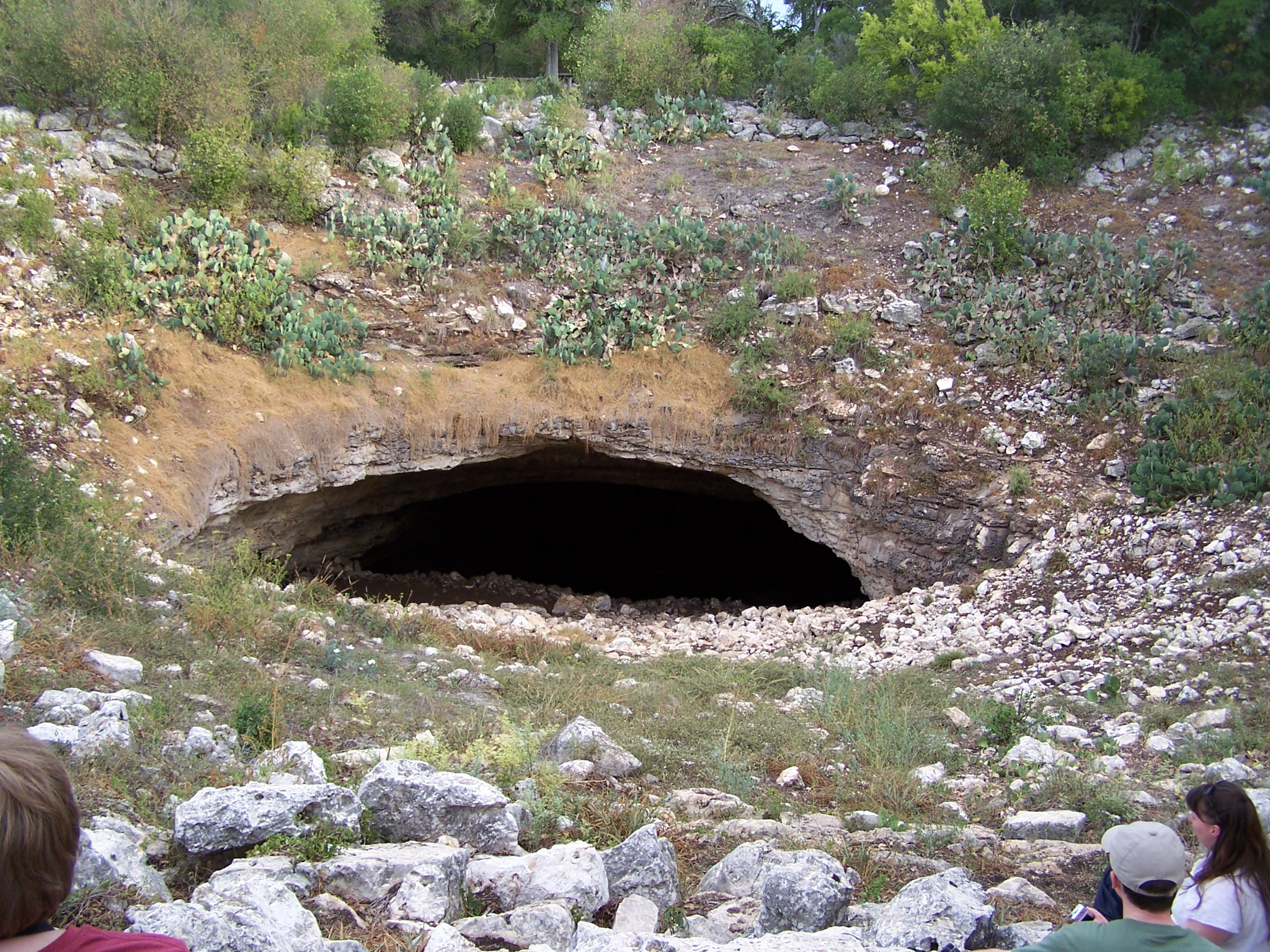 bracken15.jpg