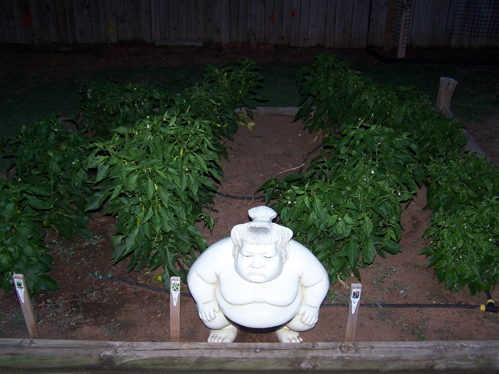 spring garden05.jpg