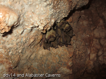 abc2014.99.jpg