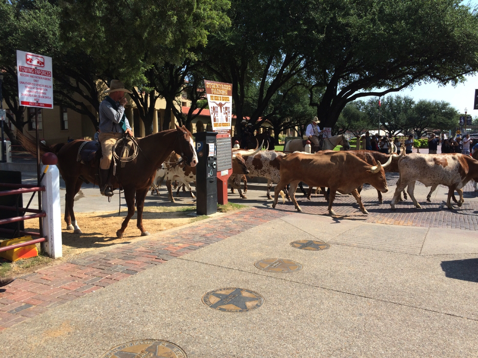 stockyards05.jpg