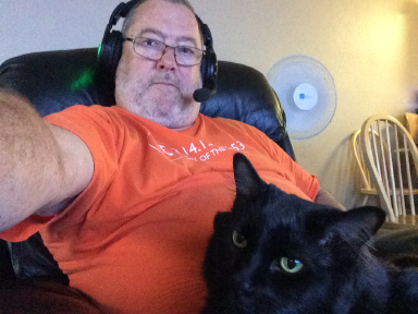 cats13.jpg