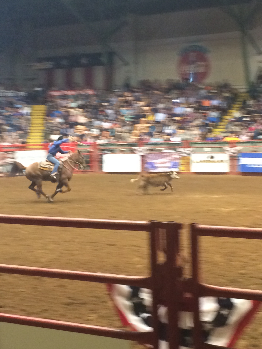 rodeo09.jpg