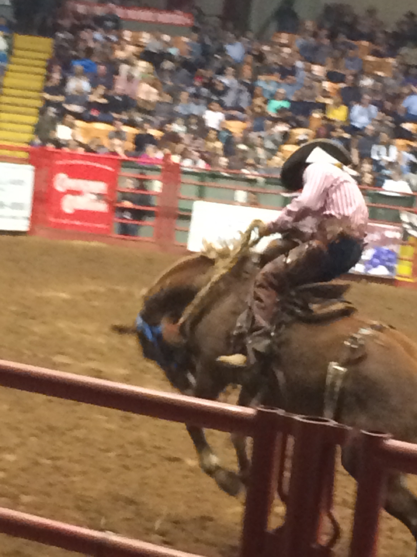 rodeo13.jpg