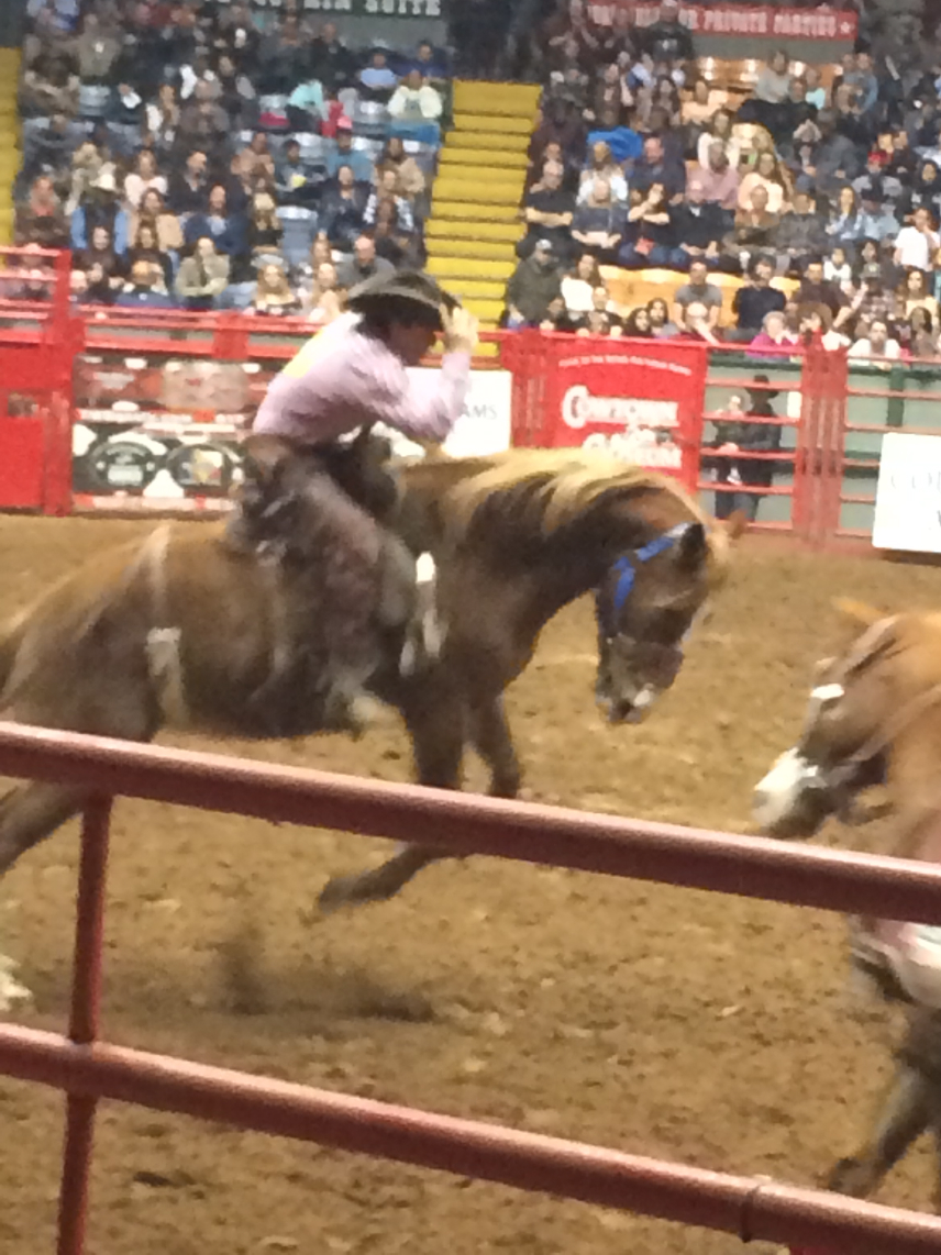 rodeo14.jpg
