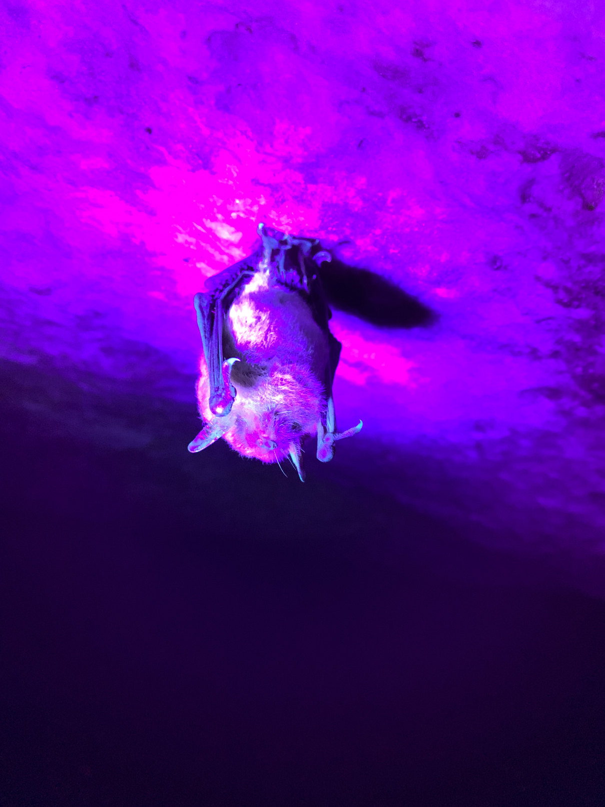 jester2020-41.jpg
