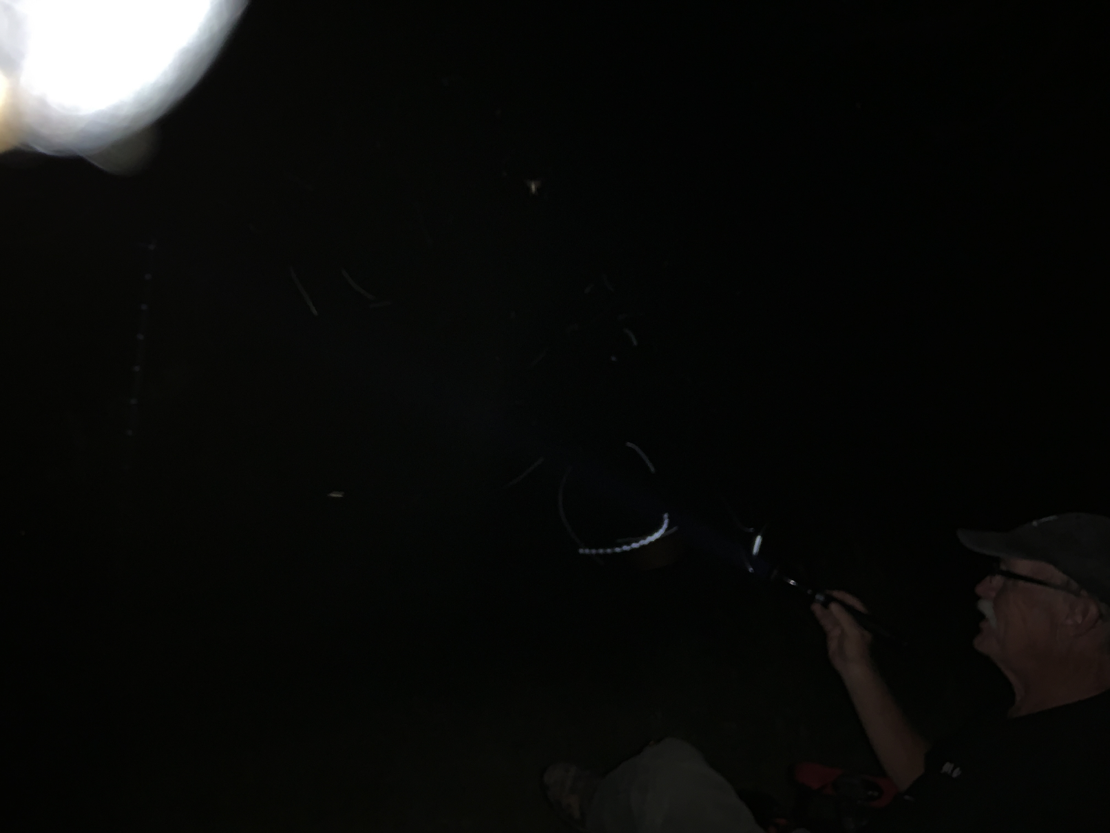 day1.41.jpg