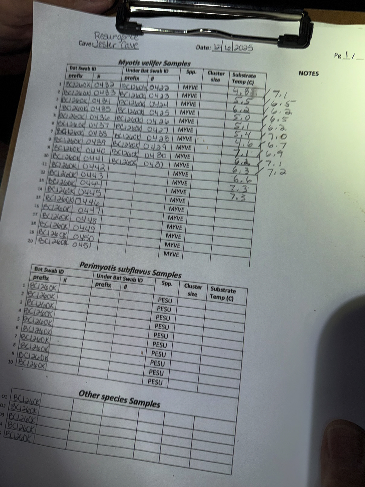 wns.test12.2025.14.jpg